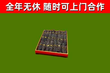 贺兰回收海参